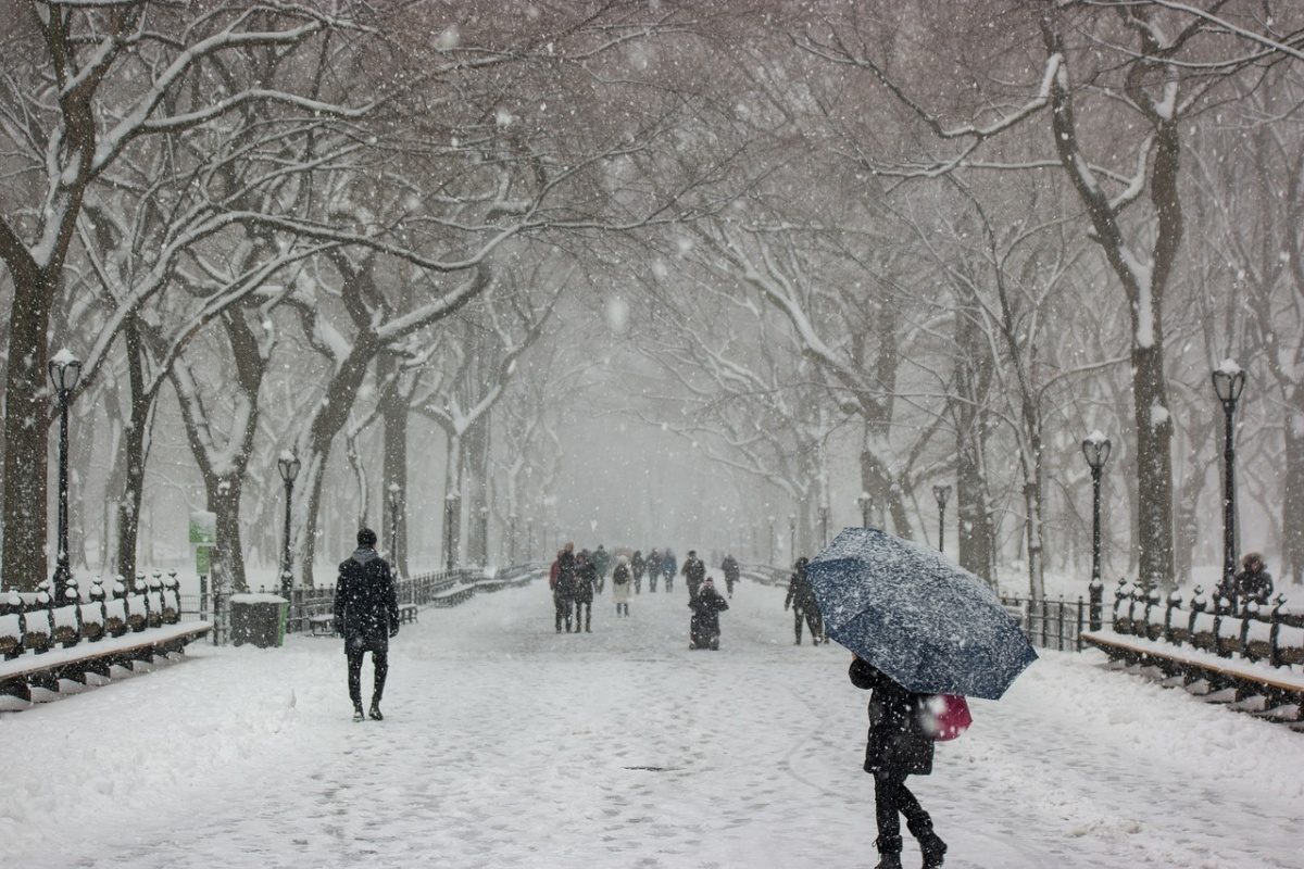 Погода на Новый год и Рождество будет морозной, но без снега: синоптики дали прогноз на декабрь и январь 
