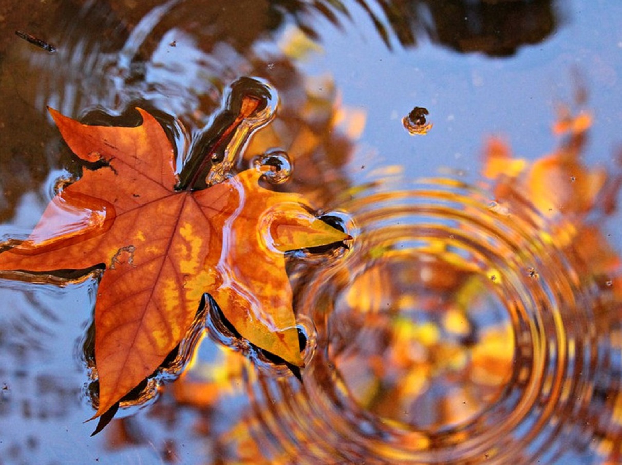 Украинцев предупредили о ухудшении погоды на выходных