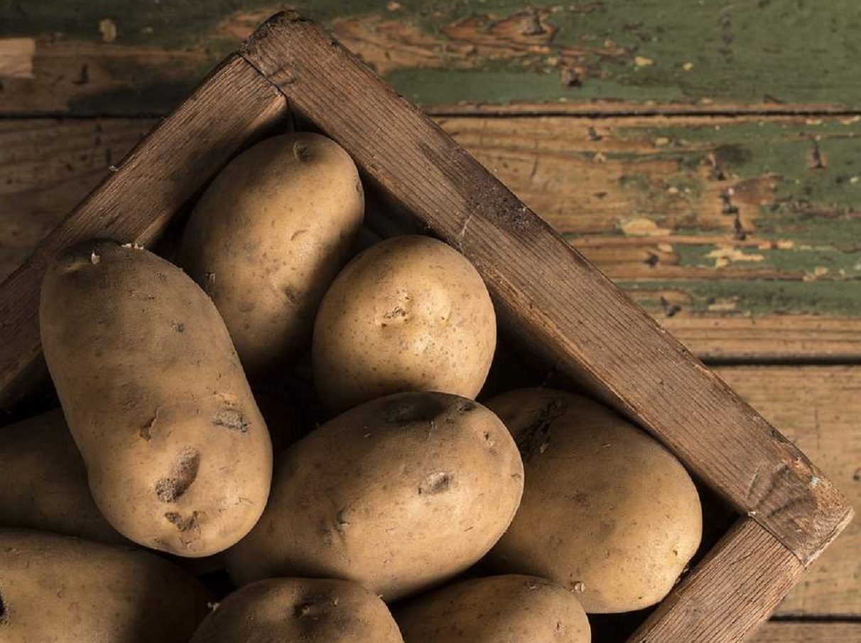 Українцям пояснили, чому в магазинах продається імпортна картопля і куди поділася вітчизняна