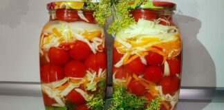 Квашена капуста з томатами: оригінальний рецепт смачної та корисної закуски на зиму - today.ua