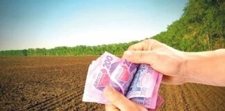 Украинцы заплатят налоги за каждый гектар земли: как будут рассчитывать фиксированную сумму   - today.ua