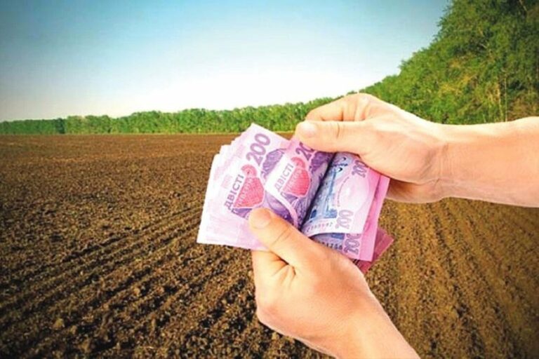 Українці заплатять податки за кожен гектар землі: як розраховуватимуть фіксовану суму - today.ua