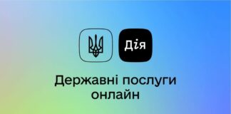 “Дия“ запустила новую услугу в День Независимости: кто и как может ею воспользоваться - today.ua