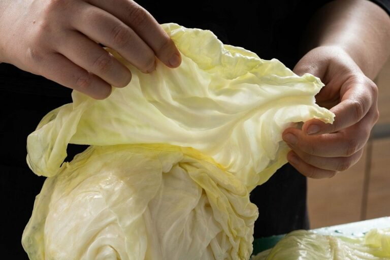 Як обробити капусту для голубців і скільки варити листя: прості поради по приготуванню - today.ua