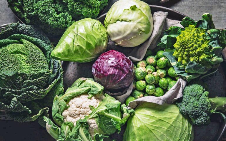 Чем подкормить капусту: секреты выращивания капризного овоща  - today.ua