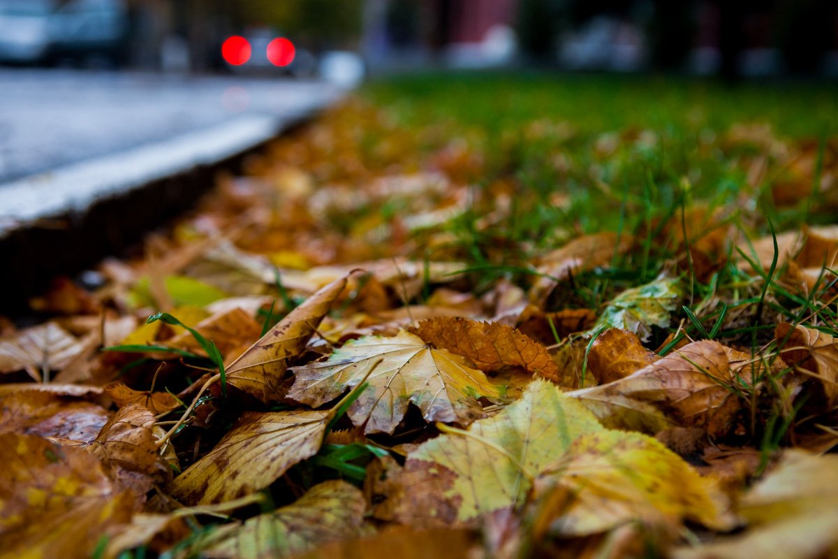 Украину накроет сильный ветер и ливни до конца ноября: синоптики рассказали, в каких областях резко сменится погода