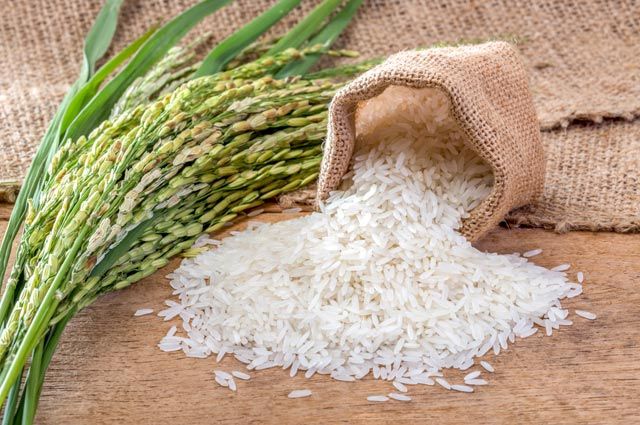 Рис станет дефицитным продуктом: Украина останется без урожая из-за войны с Россией 