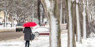 Синоптики назвали дату первого снега в ноябре: какой будет погода в середине месяца - today.ua