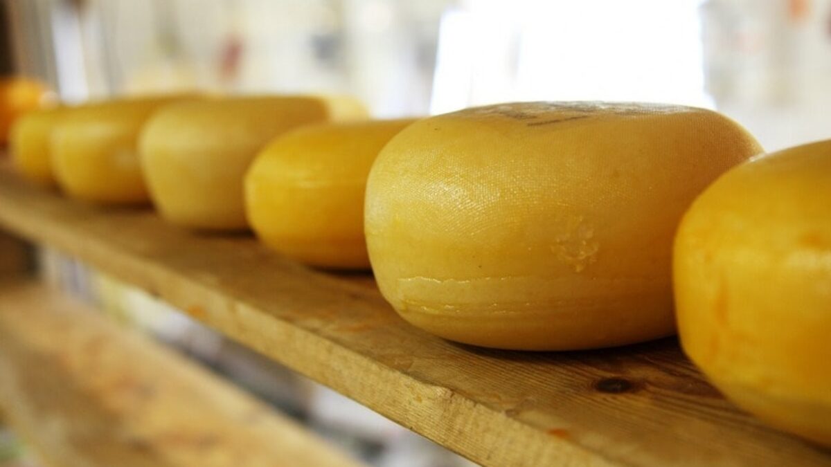 Як визначити наявність пальмової олії в твердому сирі та молочних продуктах