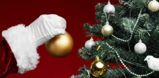 Привлекут бедность: какие украшения нельзя вешать на новогоднюю елку в год Тигра  - today.ua