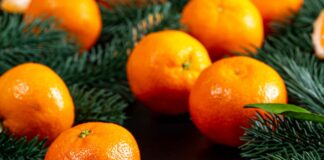 Как выбрать вкусные мандарины: внешний вид и аромат расскажут о качестве фруктов - today.ua