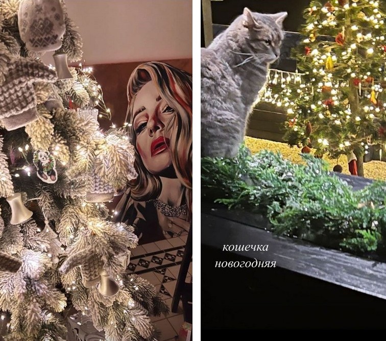 Дві ялинки: Тіна Кароль показала, як прикрасила свій заміський будинок до Нового року