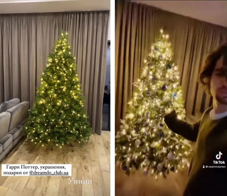 Гирлянда на лестнице и роскошная елка: Надя Дорофеева и Дантес украсили дом к Новому году