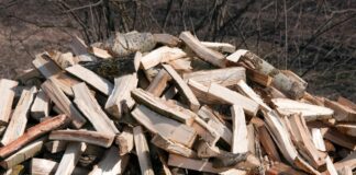 Українцям розповіли, які дрова не варто купувати: горять швидко, а гріють мало - today.ua