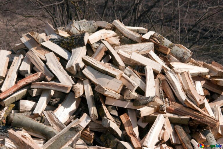 Українцям розповіли, які дрова не варто купувати: горять швидко, а гріють мало - today.ua