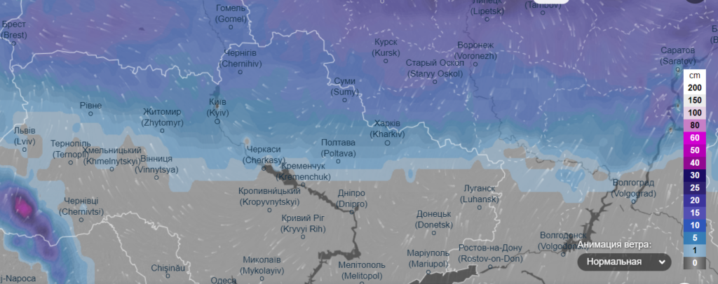 Україну на Новий рік завалить снігом: синоптики змінили прогноз погоди на кінець грудня