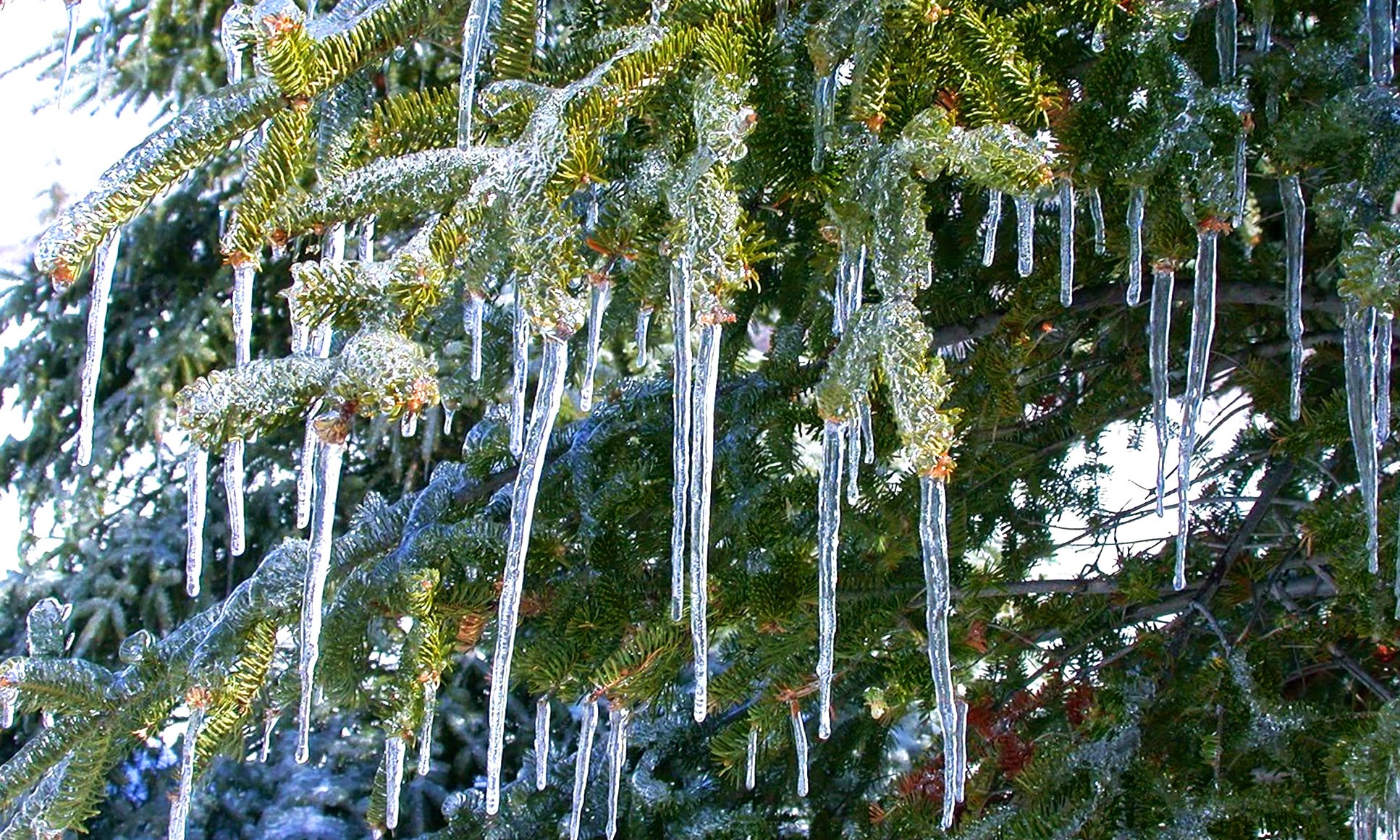 В Украину на смену лютым морозам придет потепление до +8 градусов: синоптики обновили прогноз погоды до конца недели