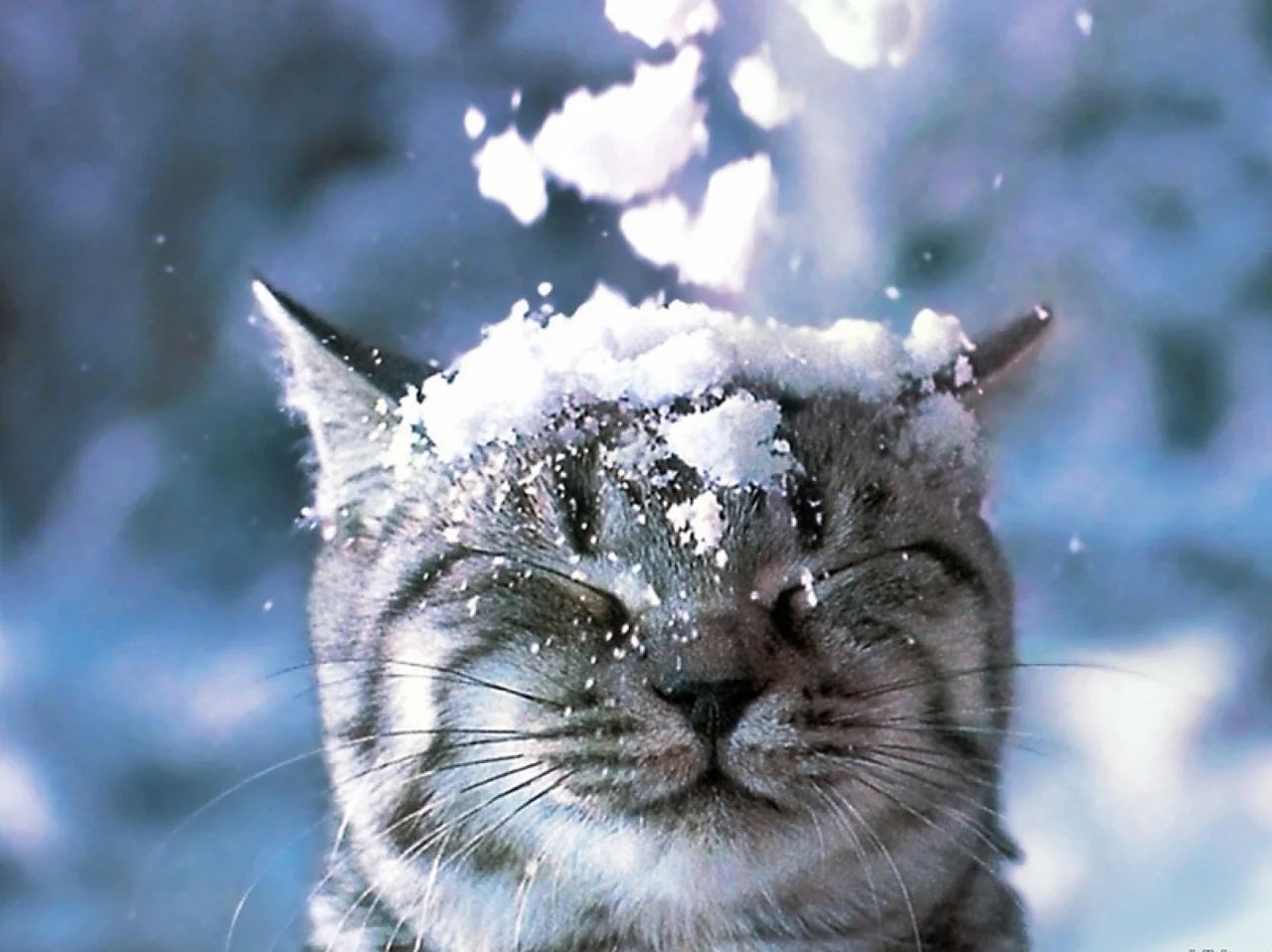 Украинцев предупредили об ухудшении погодных условий в первые выходные декабря