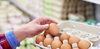 За месяц до Нового года в Украине выросли цены на яйца - today.ua