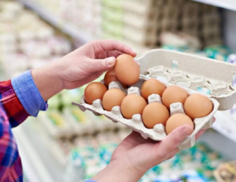За місяць до Нового року в Україні зросли ціни на яйця - today.ua