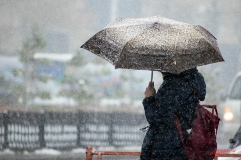 Мокрый снег, туманы и гололед: синоптик Наталка Диденко предупредила о смене погоды в Украине  - today.ua