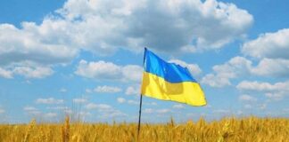 В Украине ввели новый налог на землю - today.ua