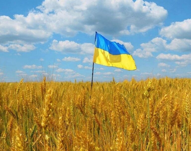 В Україні запровадили новий податок на землю - today.ua