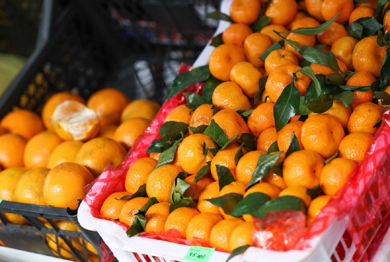 В Україні почали дорожчати мандарини: як змінилися ціни на популярні зимові цитруси