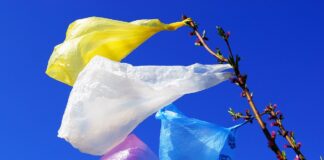 В Украине установили новые цены на одноразовые пластиковые пакеты, которые раньше были бесплатными - today.ua