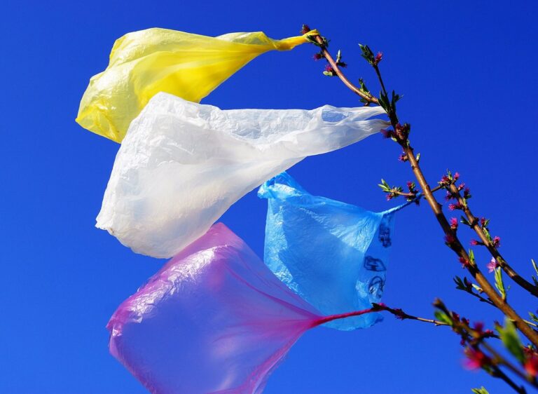 В Украине установили новые цены на одноразовые пластиковые пакеты, которые раньше были бесплатными - today.ua
