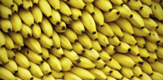 В Украине подорожают бананы: что будет с ценами в 2022 году  - today.ua