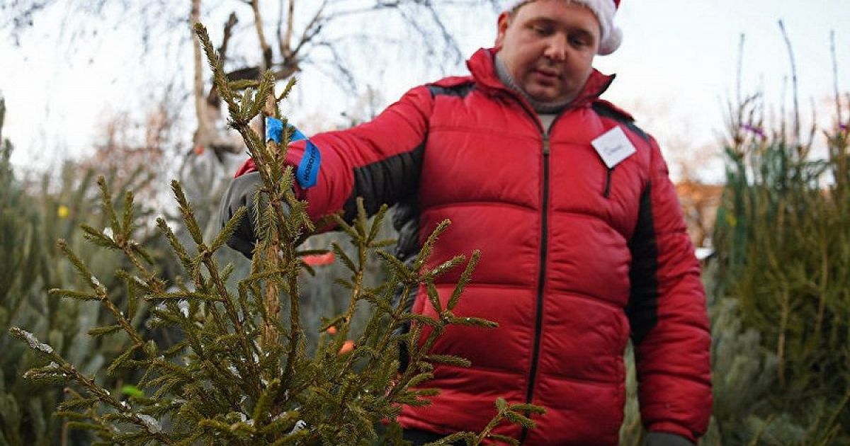 В Україні зросла кількість пропозицій сезонної роботи: пропонують зарплату по 800 гривень на день