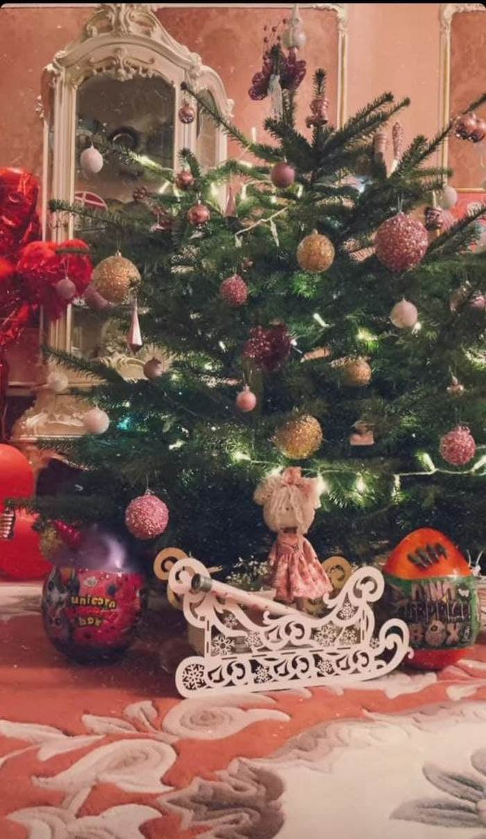 “Новогоднее настроение обеспечено“: Алина Гросу с любимым нарядила ёлку в своей роскошной квартире
