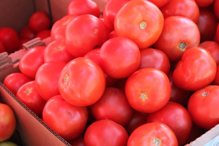 В Украине цены на помидоры упали до 5-летнего минимума - today.ua