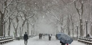 Украину накроет снежной бурей: синоптики предупредили о резком похолодании в середине декабря     - today.ua