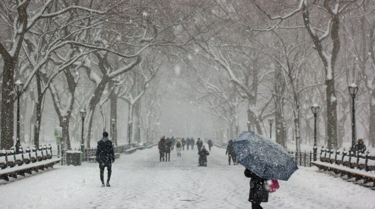 Україну накриє сніговою бурею: синоптики попередили про різке похолодання у середині грудня - today.ua