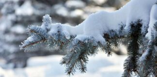 Украину накроют три циклона со снегопадами и заморозками: синоптики рассказали об изменении погоды после выходных - today.ua