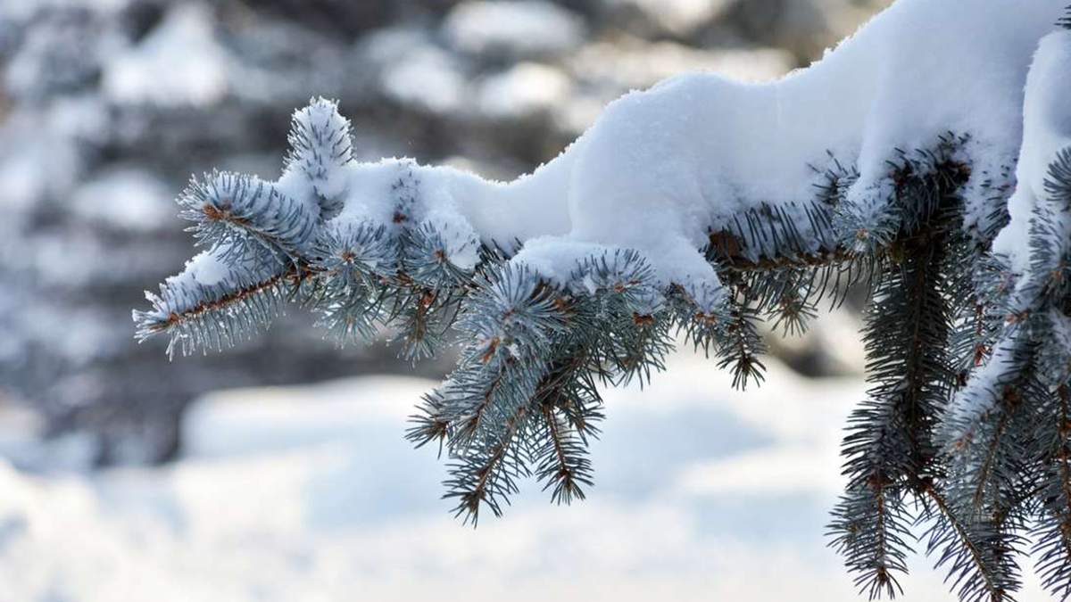 Украину накроют три циклона со снегопадами и заморозками: синоптики рассказали об изменении погоды после выходных