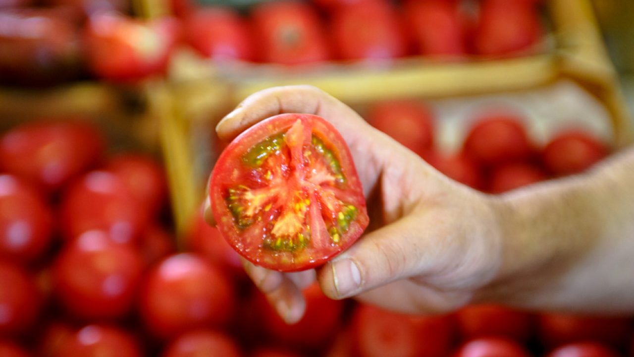 В Україні ціни на помідори впали до 5-річного мінімуму