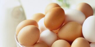 В Украине куриные яйца продают по 45 гривен: птицеводы рассказали, что ждет потребителей в 2022 году - today.ua