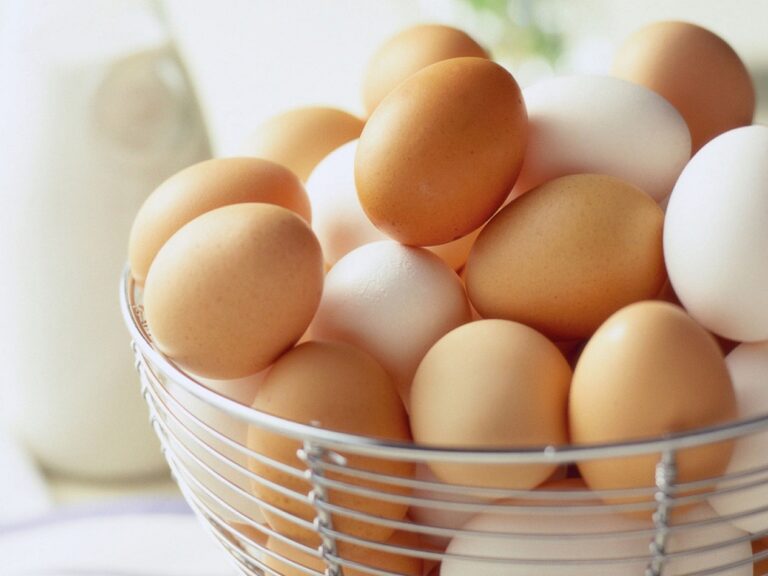 В Україні курячі яйця продають по 45 гривень: птахівники розповіли, що чекає на споживачів у 2022 році - today.ua