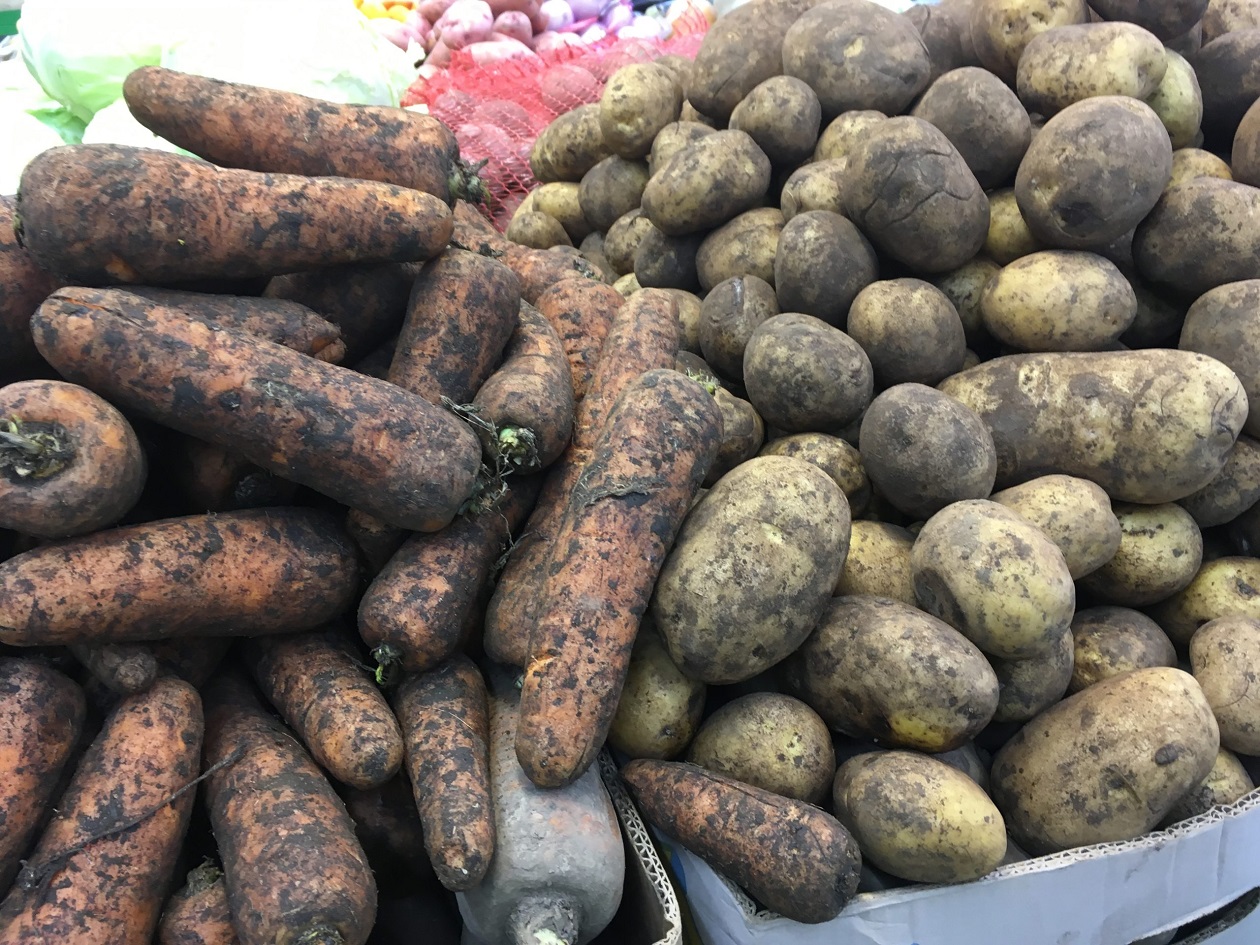 Українцям продають небезпечну для здоров'я картоплю, яка не відповідає нормам