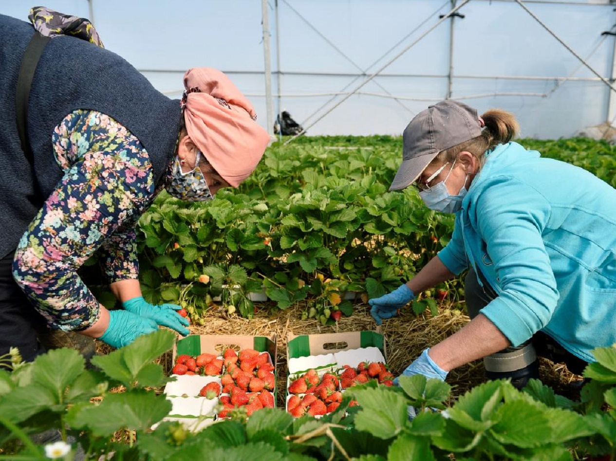 Польша значительно упростила условия приема на работу для украинских заробитчан