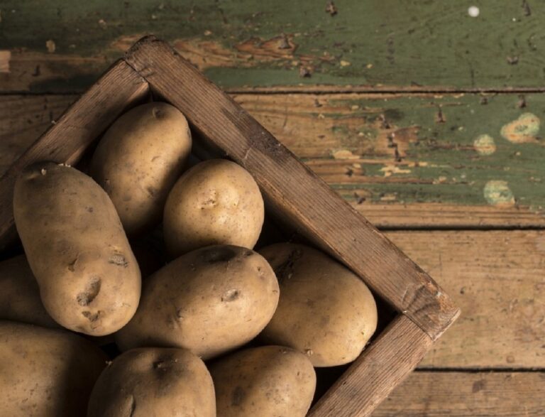Українцям продають небезпечну для здоров'я картоплю, яка не відповідає нормам - today.ua