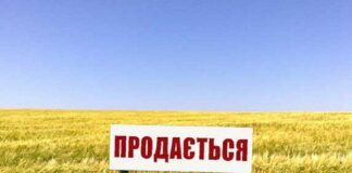 Рынок земли: в Украине упростили процедуру покупки участка - today.ua