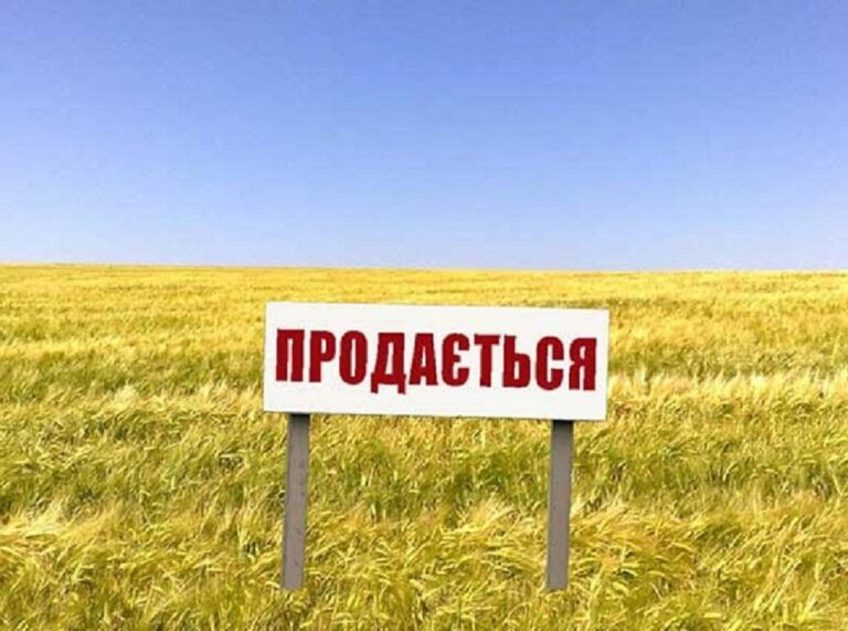 Рынок земли: в Украине упростили процедуру покупки участка - today.ua