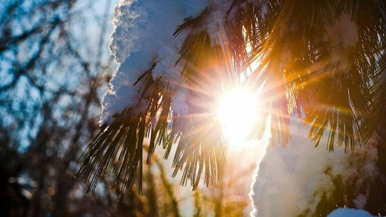 В Україну йде різке потепління, але снігопади не припиняться: синоптики озвучили прогноз погоди до кінця січня - today.ua