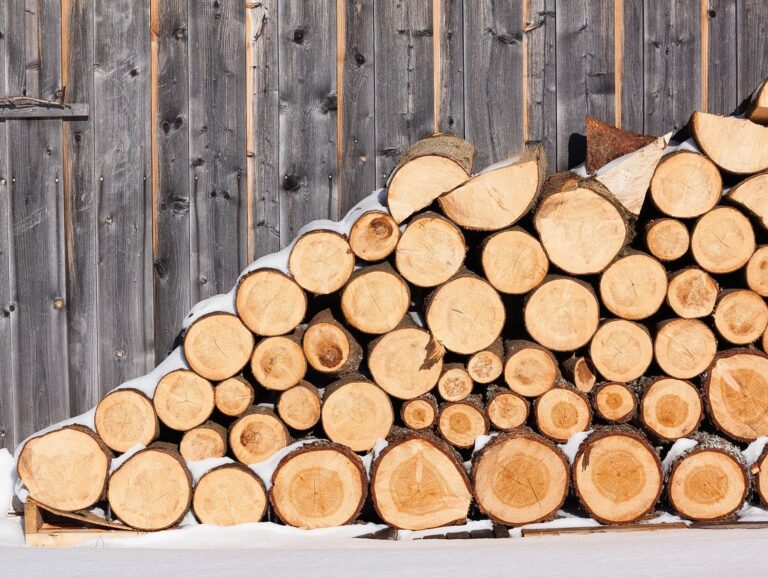 Как нужно хранить дрова для отопления, чтобы они легко разжигались и не сырели      - today.ua