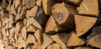 Какие дрова лучше всего подходят для отопления зимой: сравнение цен  - today.ua
