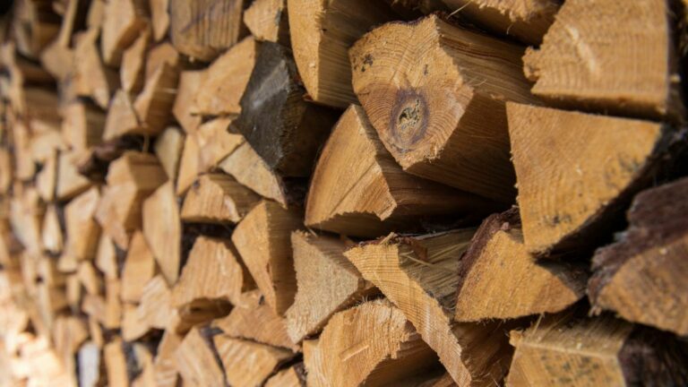 Ціни на дрова: де їх можна купити найбільш вигідно, і як не потрапити в халепу - today.ua